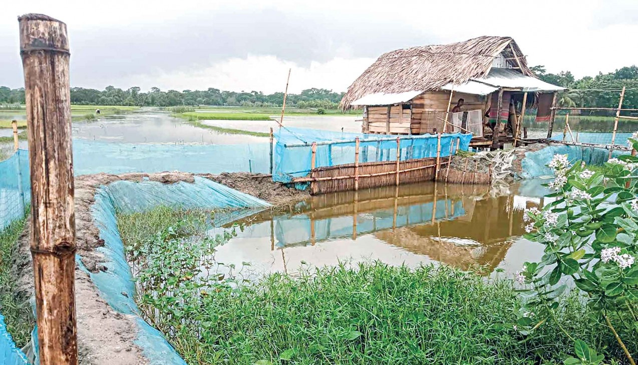 Canals blocked in Morrleganj for fish farming